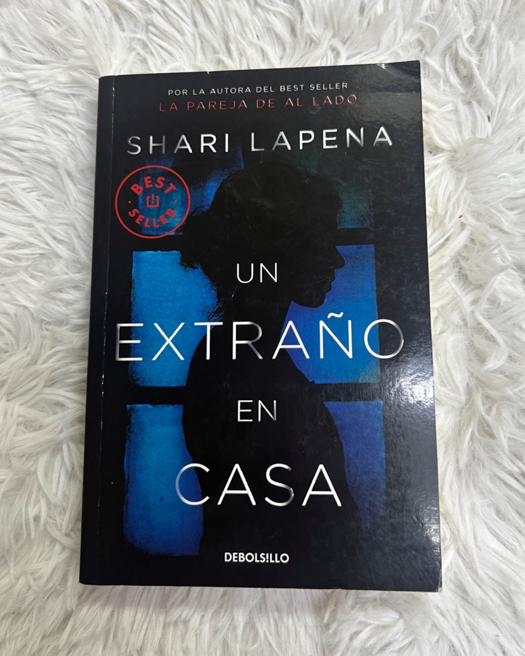 Libro-Un extraño en casa
